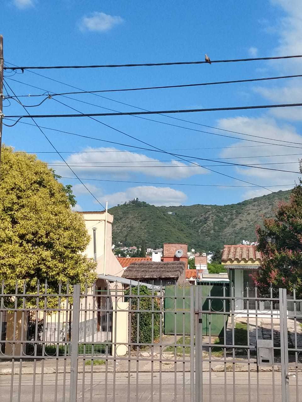 WhatsApp Image 2020-01-07 at 19.05.42 (1)